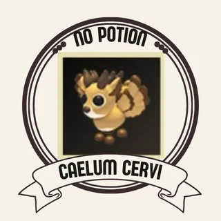 CAELUM CERVI