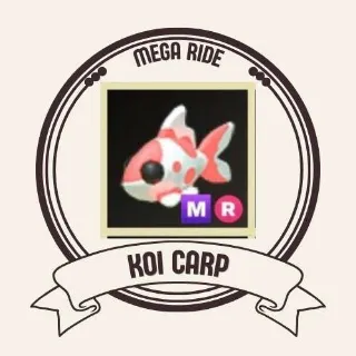 MR KOI CARP