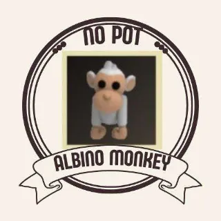 ALBINO MONKEY