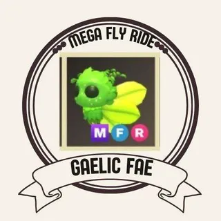 MFR GAELIC FAE