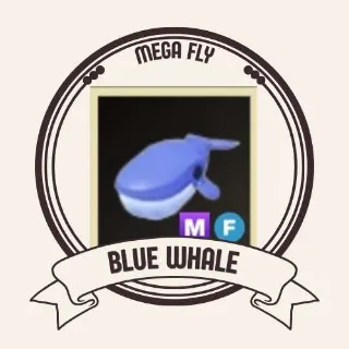 MF BLUE WHALE
