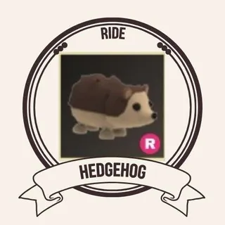 R HEDGEHOG 