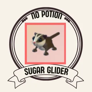 sugar glider 