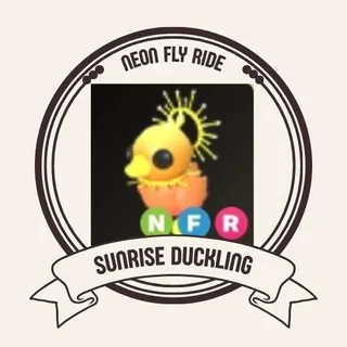 NFR SUNRISE DUCKLING