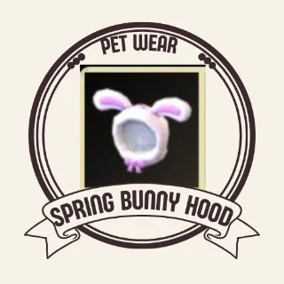 spring bunny hood