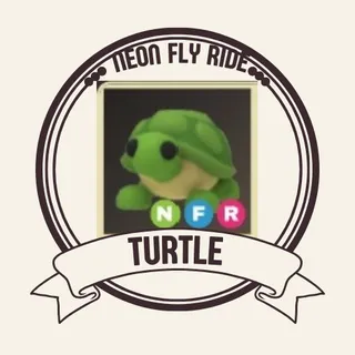 NFR TURTLE