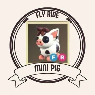 FR MINI PIG