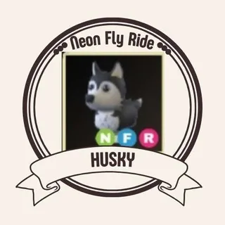 NFR HUSKY