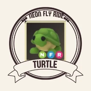 NFR TURTLE