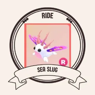 RIDE SEA SLUG