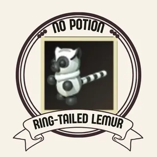 RING-TAILED LEMUR 