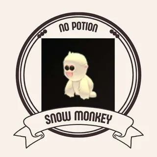 SNOW MONKEY