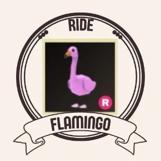 RIDE FLAMINGO