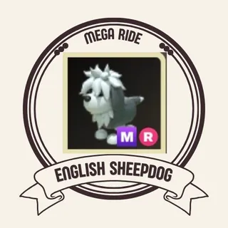 mr english sheepdog