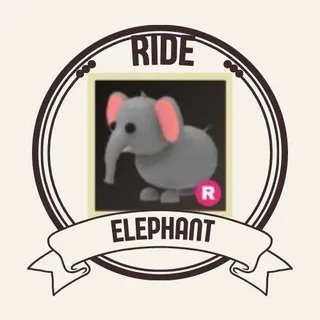 ELEPHANT RIDE