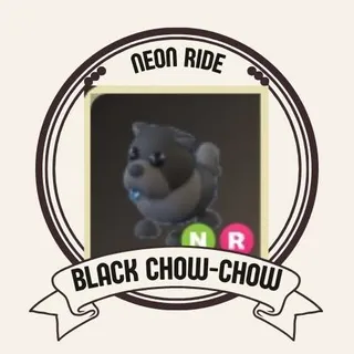 NFR BLACK CHOW-CHOW