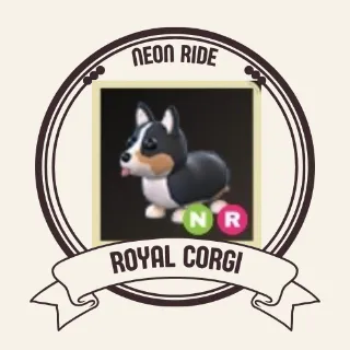 NR ROYAL CORGI