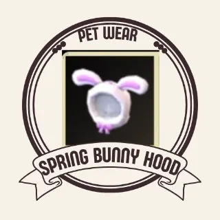 spring bunny hood