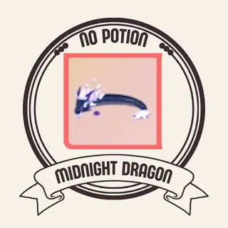 midnight dragon 