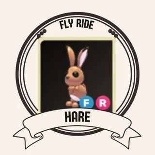 FR HARE