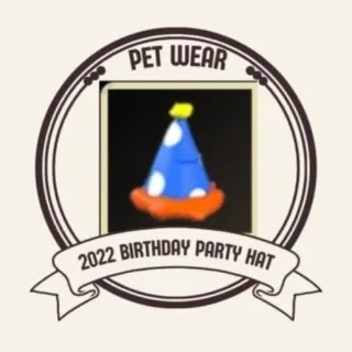 2022 Birthday Party Hat