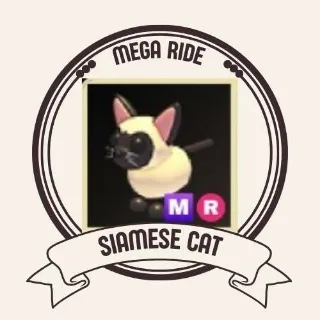 MEGA SIAMESE CAT