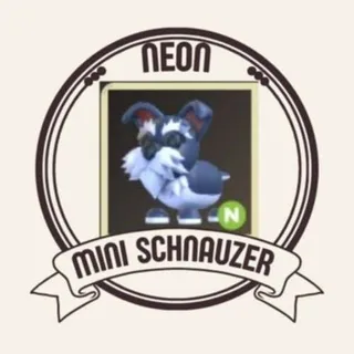 Neon Mini Schnauzer