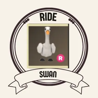 R SWAN