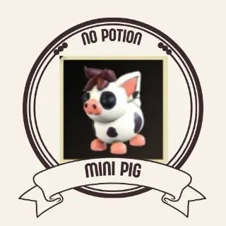 MINI PIG