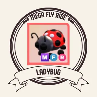 Mfr ladybug