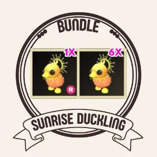7x SUNRISE DUCKLING