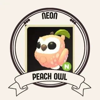 NEON PEACH OWL