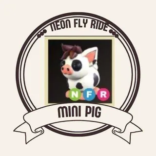NFR MINI PIG