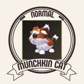 RIDE MUNCHKIN CAT