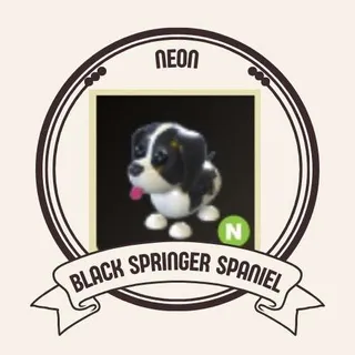 NEON BLACK SPRINGER SPANIEL