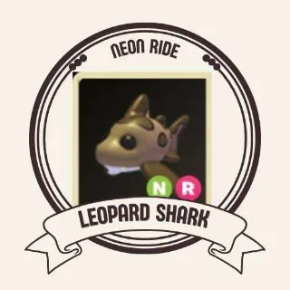 NR LEOPARD SHARK