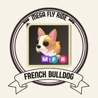 MFR FRENCH BULLDOG 