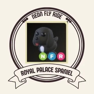 NFR ROYAL PALACE SPANIEL