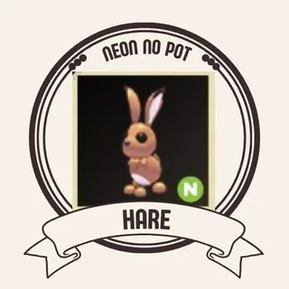 NEON HARE