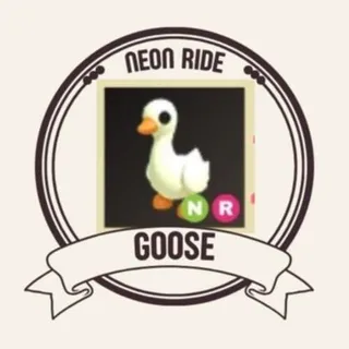 NR GOOSE