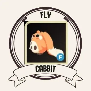 FLY CABBIT