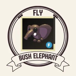 F BUSH ELEPHANT