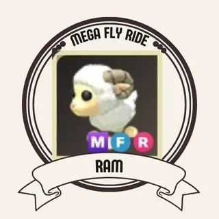 MFR RAM
