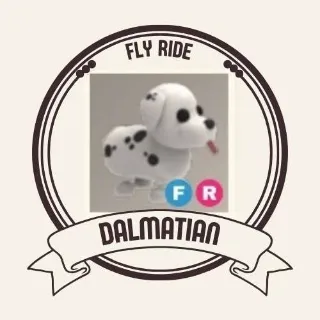 FR DALMATIAN
