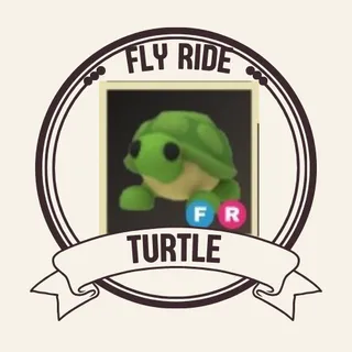 FR TURTLE