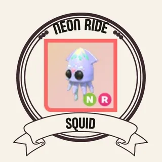 NR SQUID