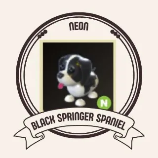 NEON BLACK SPRINGER SPANIEL