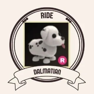 DALMATIAN RIDE