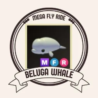 MFR BELUGA WHALE