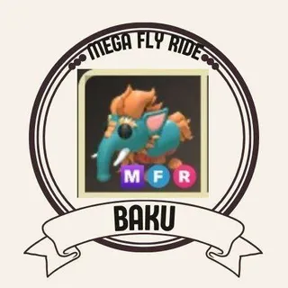 MFR BAKU